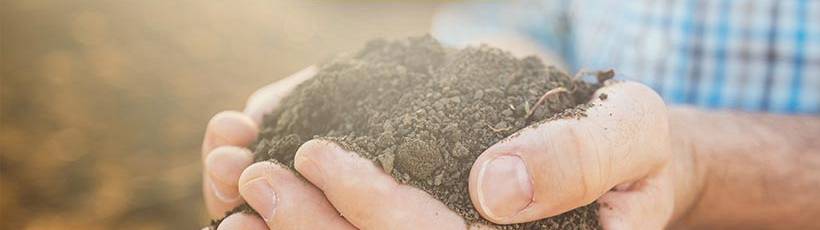 6 formas de aumentar a eficiência da sua lavoura.