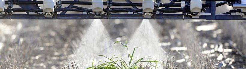 Qual a importância do solo? Como combater as plantas daninhas no plantio?