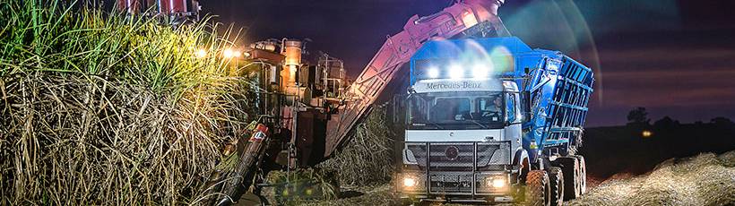 A logística e a produção como aliadas da colheita mecanizada de cana-de-açúcar