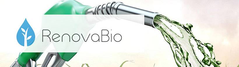 Entenda o que é o RenovaBio e como ele afeta o mercado