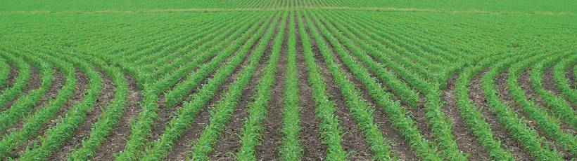 4 passos para entender o sistema de desligamento de seção para controle da largura de faixa de plantio