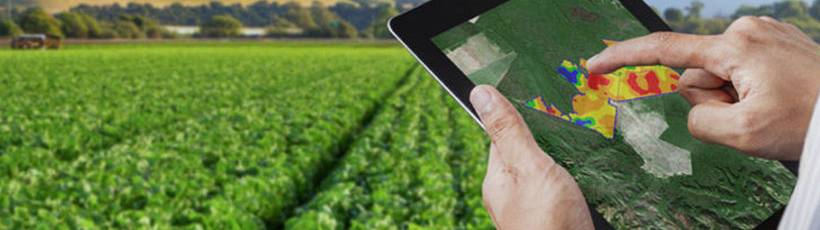 O que é agricultura de precisão?