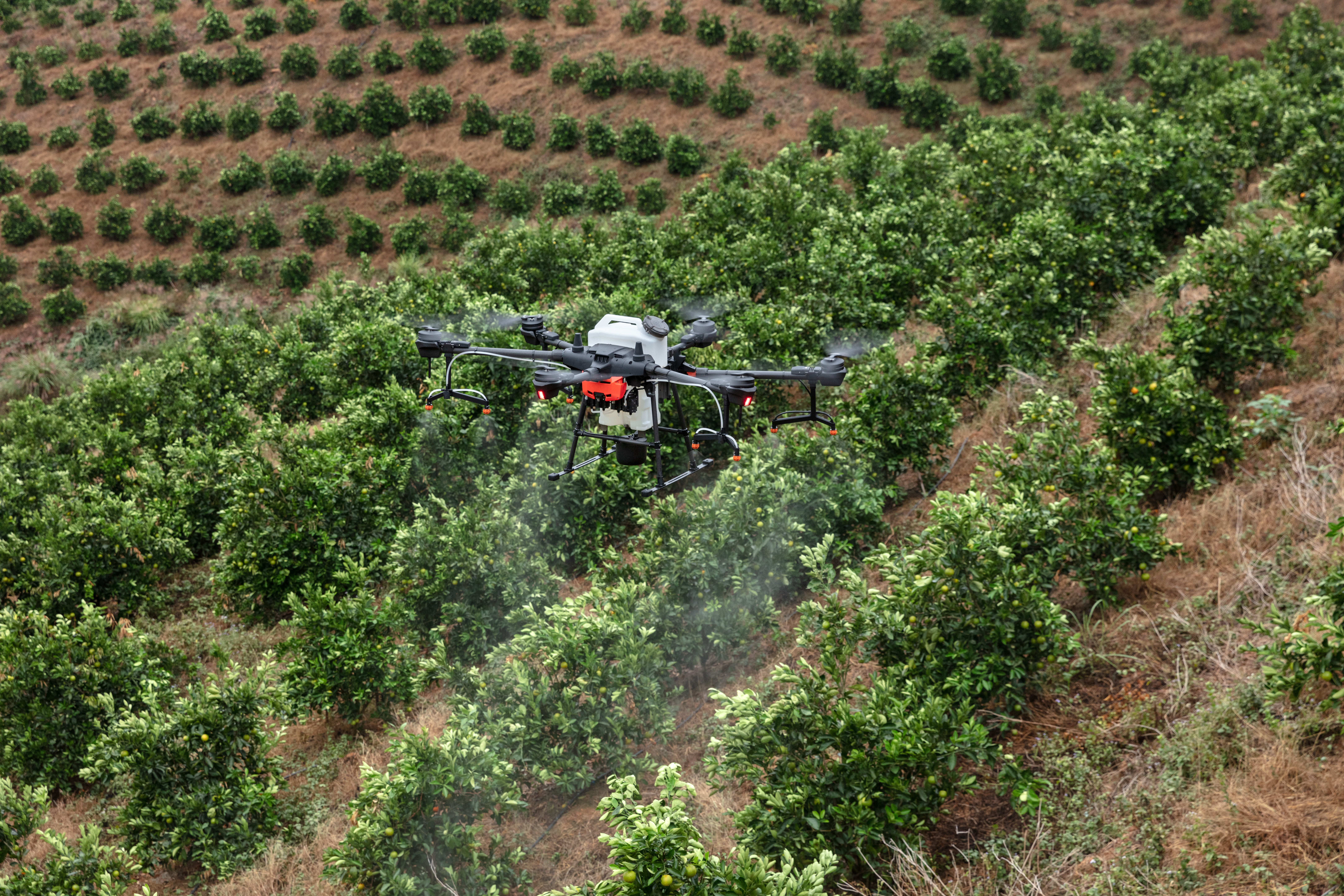 Ministério da Agricultura regulamenta uso de drones na agricultura e agropecuária