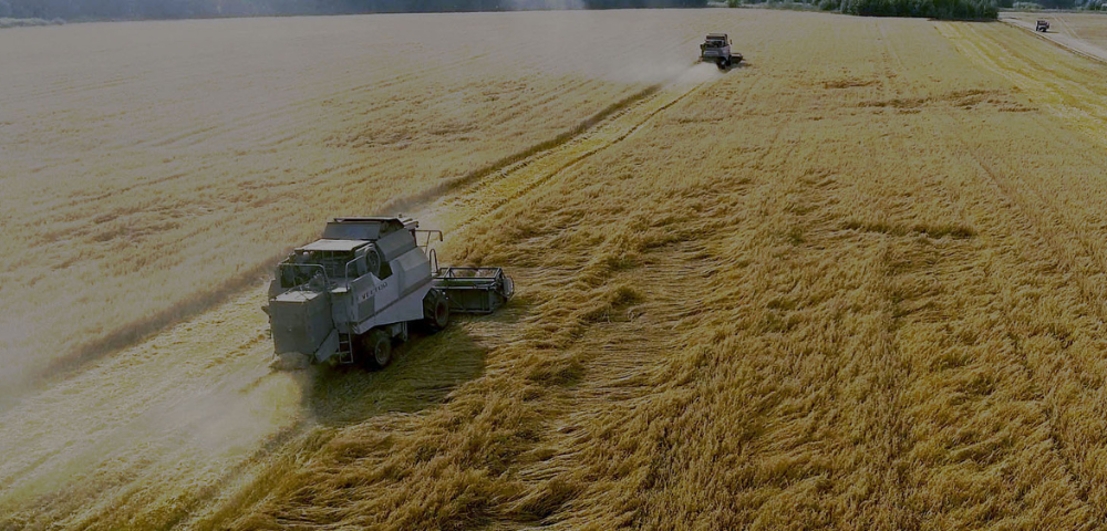 Taxa Variável e Controle de Taxa
