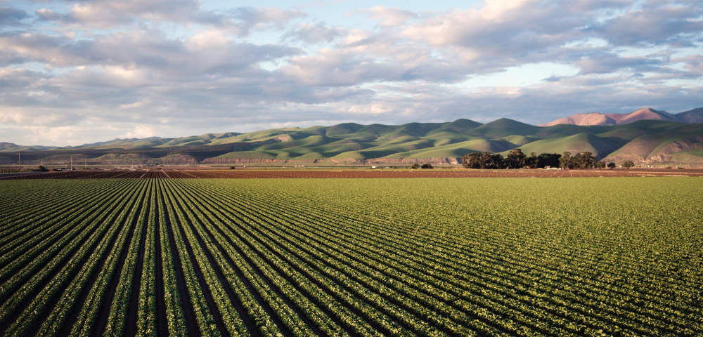 Por que as usinas utilizam sinais de correção RTK e RTX?