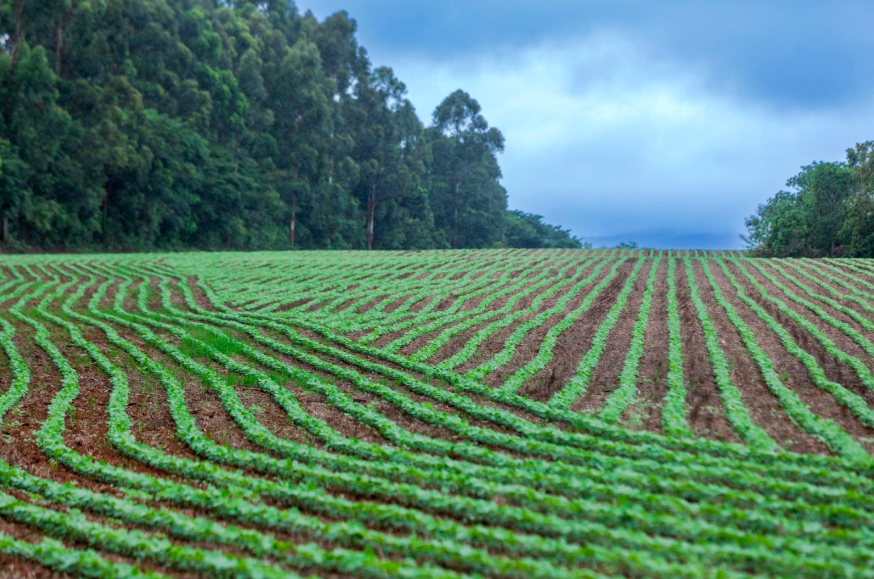 Soluções de Plantio, por onde começar?