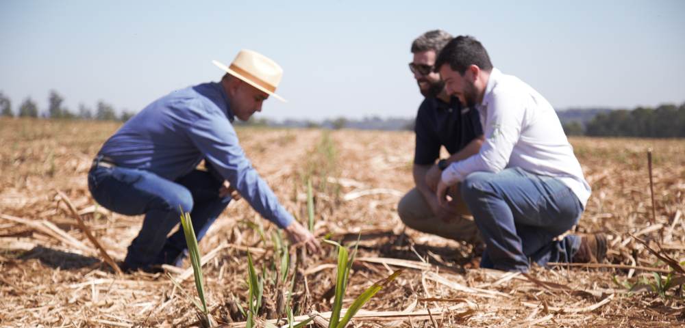 Case de sucesso: Usina Santa Lúcia alcançou mais produtividade na produção da cana-de-açúcar com o sinal Center Point RTX.
