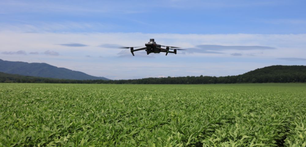 Mavic 3M: altimetria com precisão centimétrica para um mapeamento agrícola inteligente