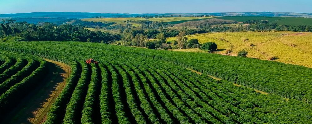 Tecnologia para plantio de café: conheça as soluções PTx Trimble para mais precisão e produtividade