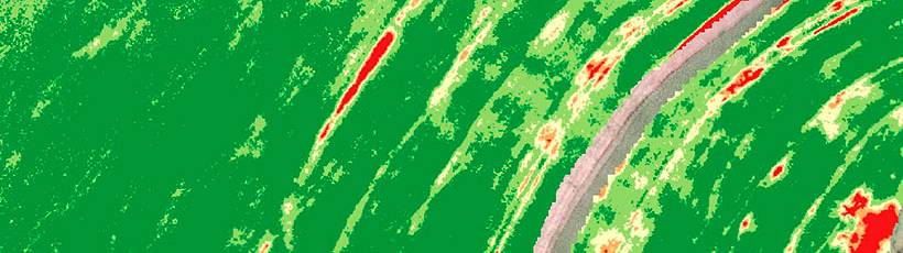 Vant eBee SQ + Field IQ - Tratamento localizado para nematoides