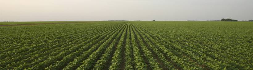 Soluções de Plantio Trimble