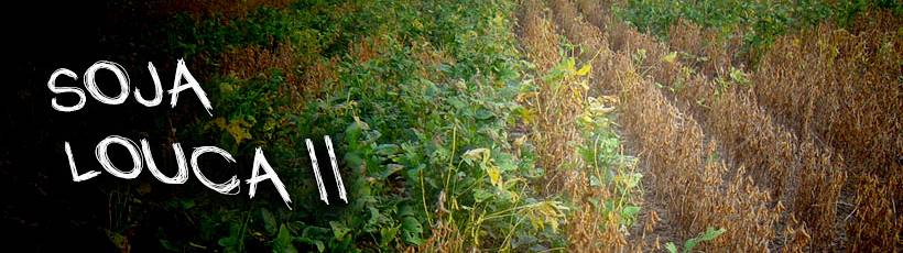 Não é filme de terror, mas o problema vem assustando cientistas brasileiros