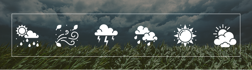 Mudan&Atilde;&sect;as Clim&Atilde;&iexcl;ticas