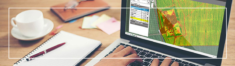 e-da-vegetacao-por-sensoriamento