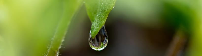 pressao-correta-na-pulverizacao