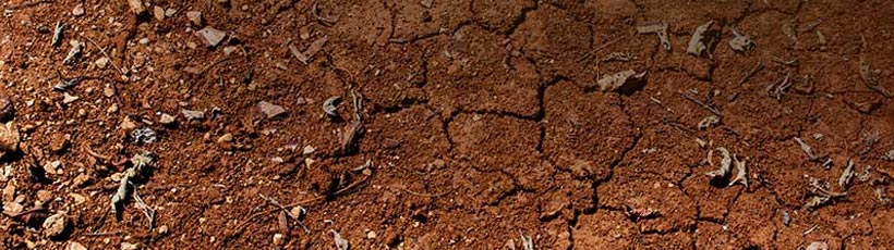 mecanizacao-agricola-e-preparo-do-solo