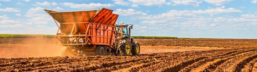 plantio-da-cana-de-acucar